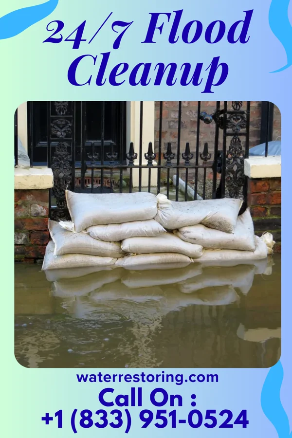 24/7 Flood Cleanup in Pigeon, MI
