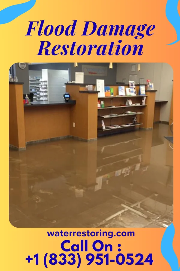Flood Damage Restoration in Pigeon, MI