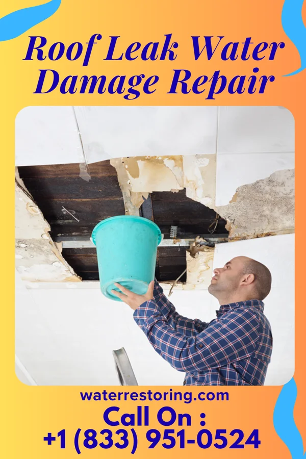 Roof Leak Water Damage Repair in Pigeon, MI