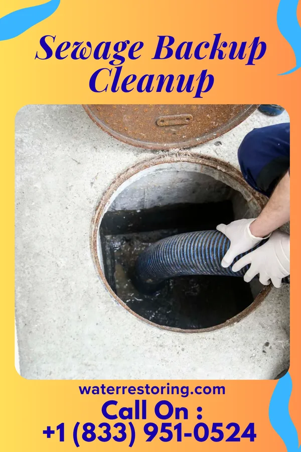 Sewage Backup Cleanup in Pigeon, MI