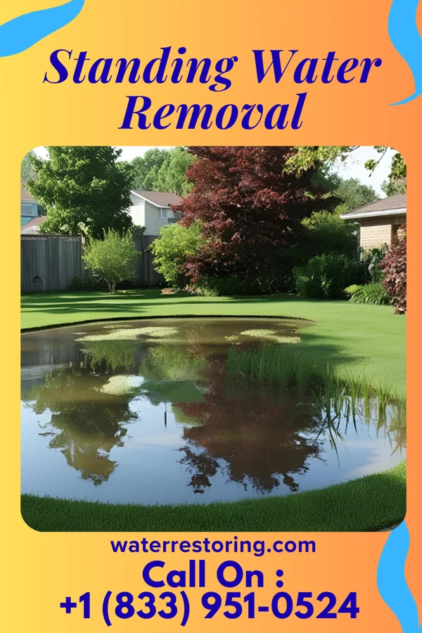 Standing Water Removal in Pigeon, MI